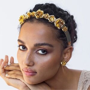 Field of Roses Crown Epona Valley